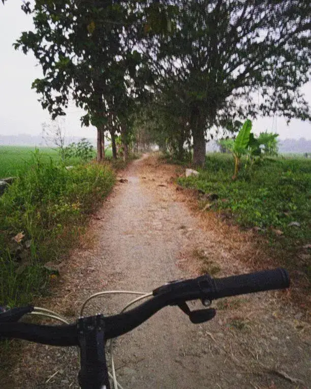 Jalur tanah dilihat dari sepeda